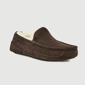 UGG ASCOT ESPRESSO BRAND NEW